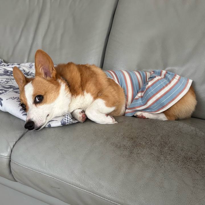 11adbf05 fc2a 4260 9997 2212cbb6e307 1757544348127