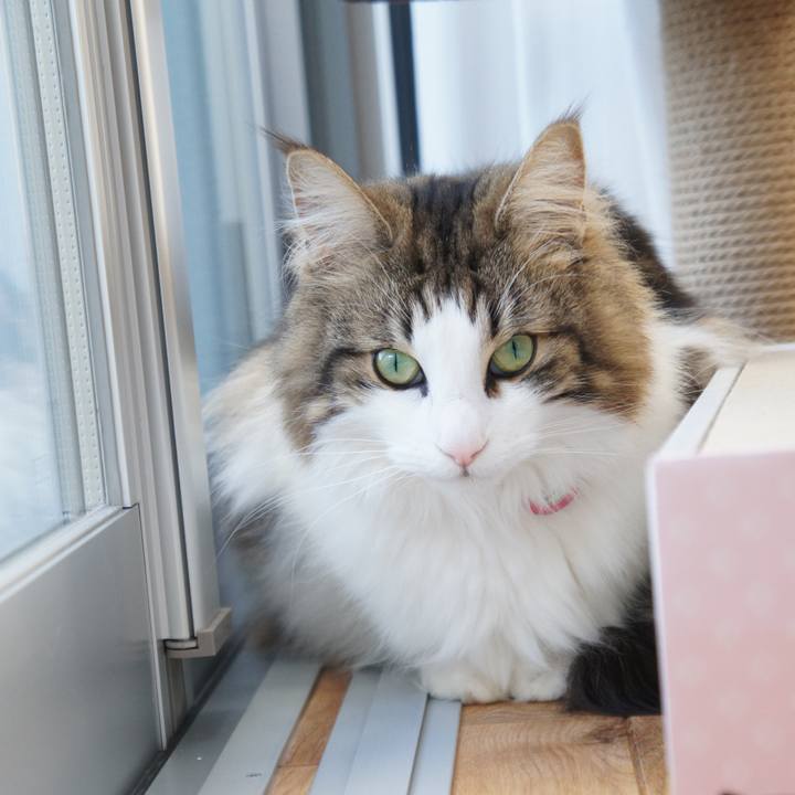 11adc9bc d95a 482b b5ba 05a7cb7891e0 1517904727422