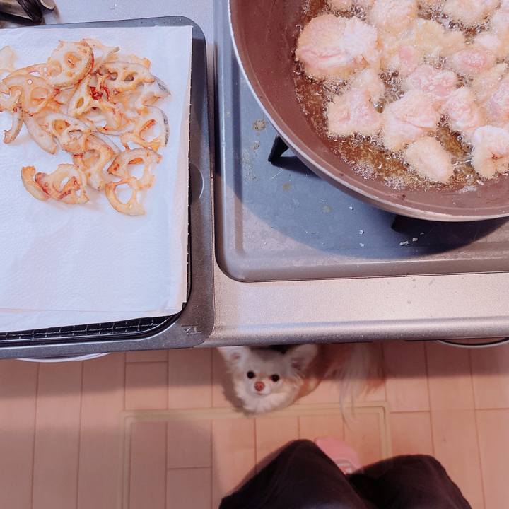 11add861 4307 448b a9a3 852de4ee3b48 1677755549228