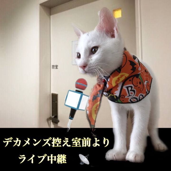 11ade175 a3b7 49e7 8ffd 4b3a3339abbe 1568467692709