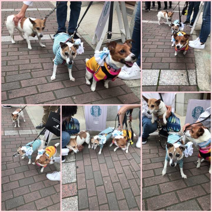 11ae3de8 b629 4239 a60c 2d968acd4913 1524916035045