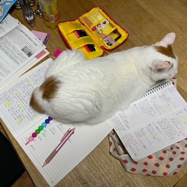 11ae5941 c3a6 4f51 9e7c 3547369b0c25 1621258497904