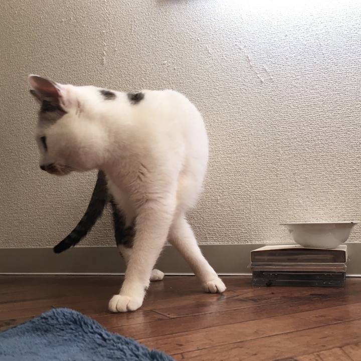 11ae73e6 3d51 4e63 9ed6 e8922dd4d928 1517488914370