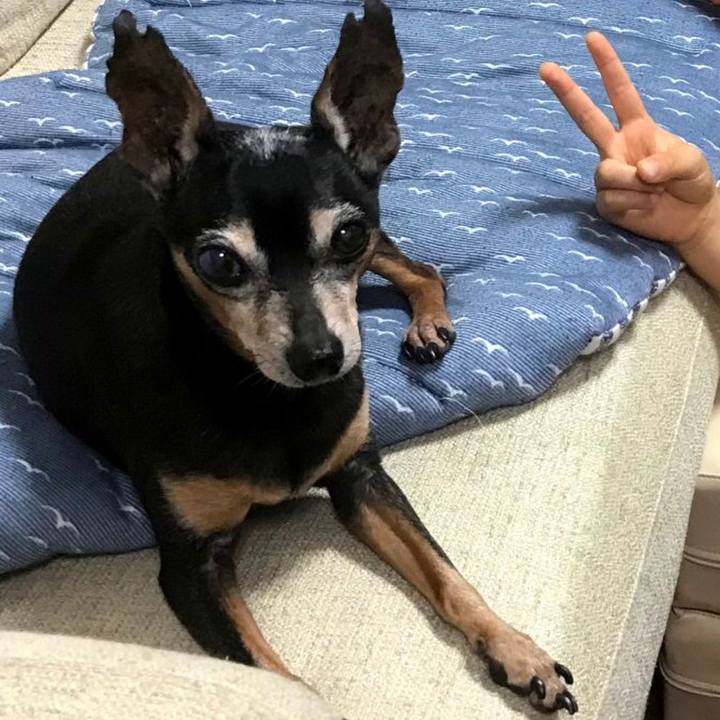 11aec196 a482 438a 9b3f da13e3ab4837 1569145327873