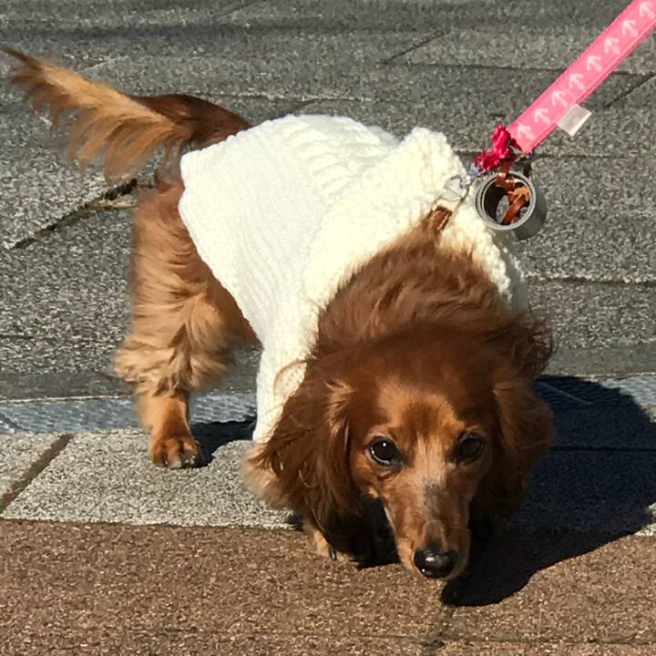 11aec4bd f8ec 4d4f 86b3 d1e95af95c68 1515290810277