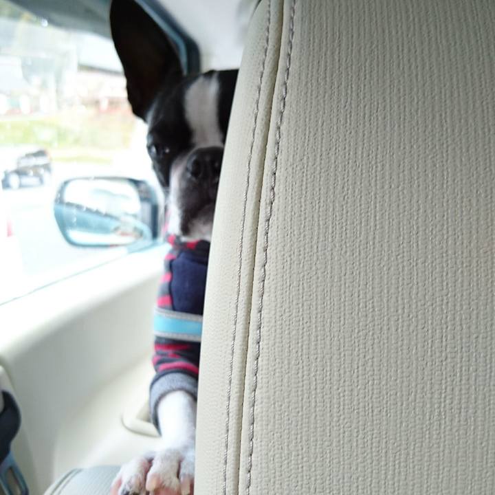 11aedff4 6fb6 4864 a347 29b25f396fb5 1511082174347