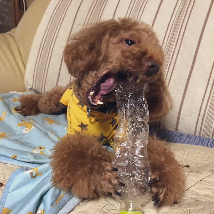 11aef60d 51db 4348 806d 527af4efca85 1563855279188