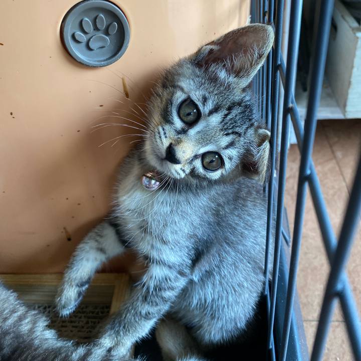 11af45c9 728d 461f a197 64926887b994 1720414320640