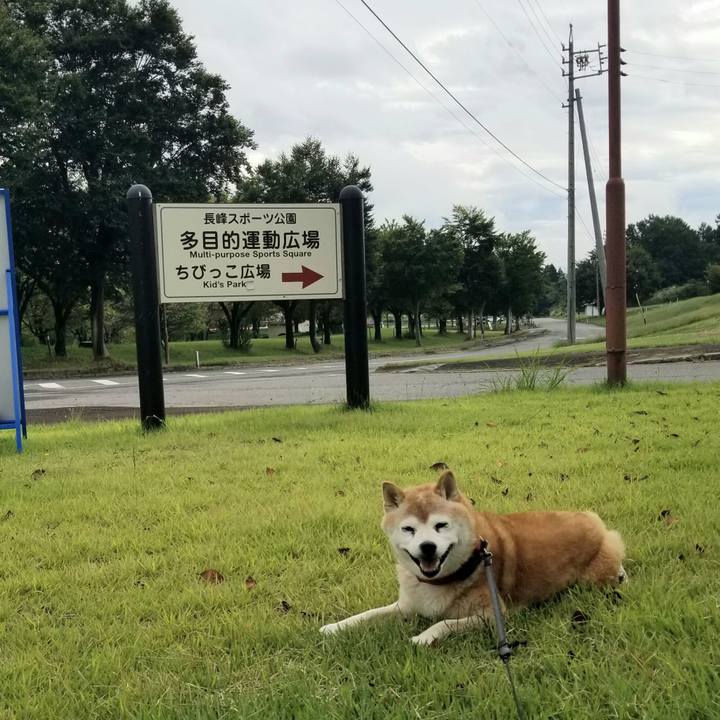 11af6d6a 81a6 48d5 86a4 87b8ab810989 1726720226099