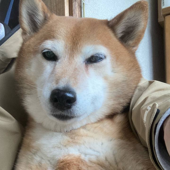 11af6deb 153f 46ce ab65 d0e32fb5000c 1654414488895