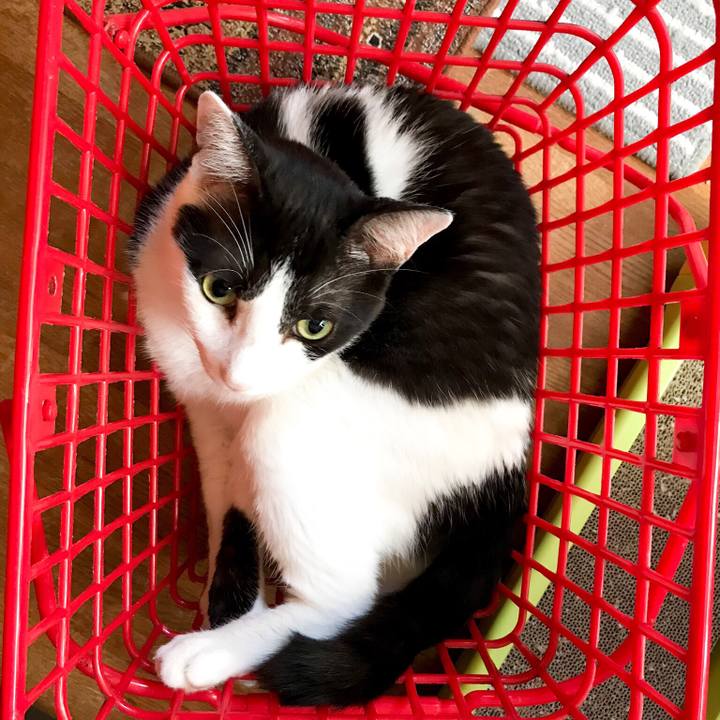 11afd0dc 2e52 4f80 b0ca 4e5ba7f06195 1533256829663