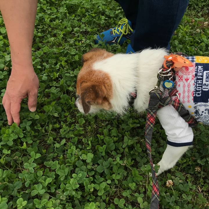 11b006c1 f52a 4262 9a8f 4cf31827c014 1562799919649