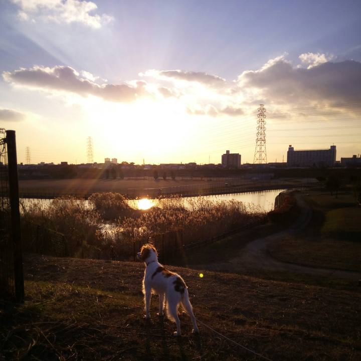 11b0424c 168a 4dac 96fb 1941d4d272d6 1513844470512