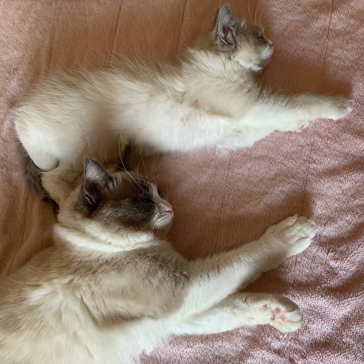 11b042d7 1162 4518 9682 e97ac510d750 1644650518558