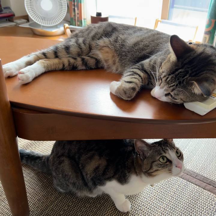 11b04661 8d1d 497b ac5b df65ab95db4f 1726715724013