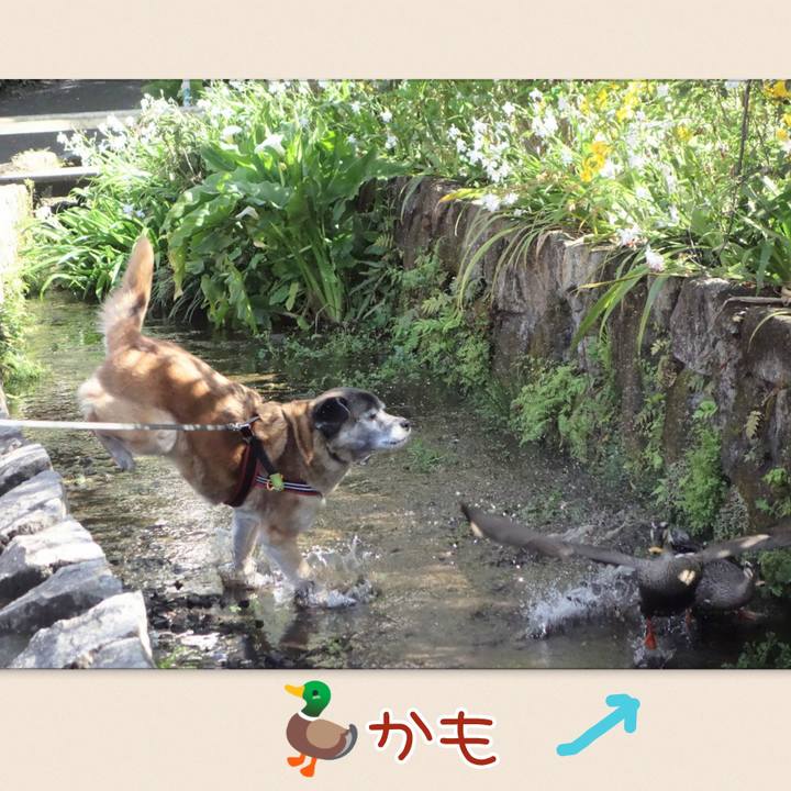 11b05cdb dbdb 43c0 a84d 026067b444d9 1664587984086