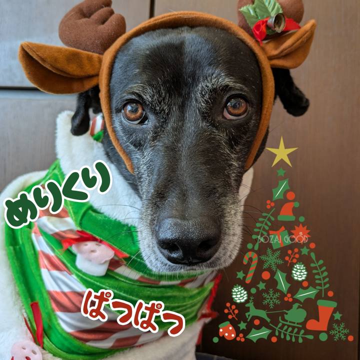 11b06583 dacf 4688 9efa d850dba9232d 1766557351273