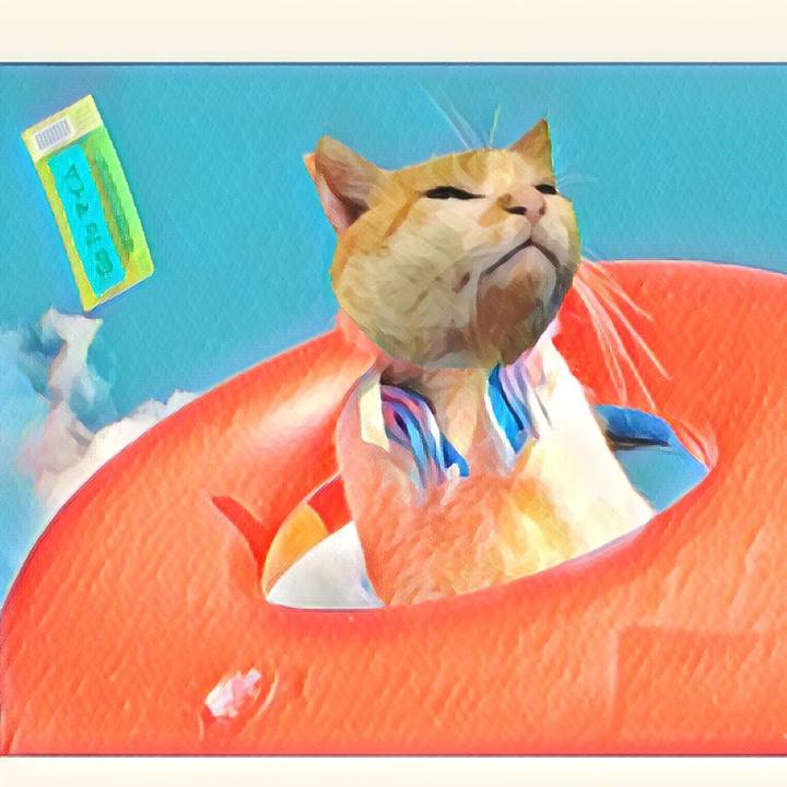 11b07b94 42cb 473d b40f 4432598eeee7 1597298817134