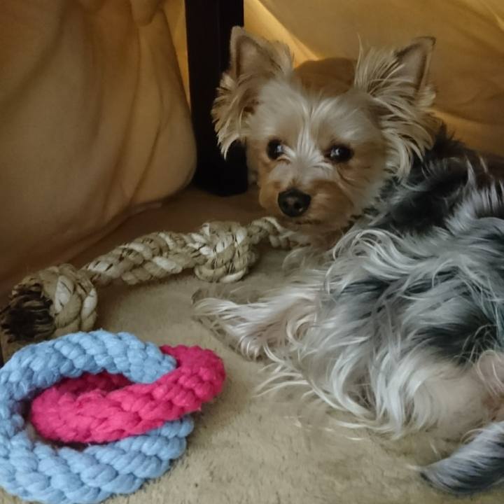 11b08f8b b3e8 444f 9552 c081ef8b72ed 1515572821693