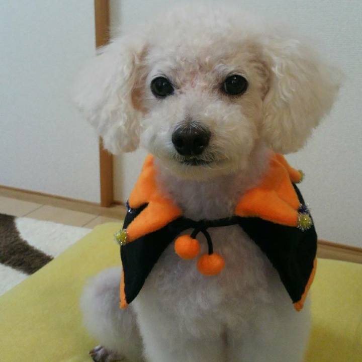 11b09473 c6b0 402e a3a7 866045dc17ac 1572350047328