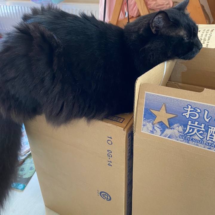 11b0caad 4224 49a6 97bf b7025837a2a5 1597800870405