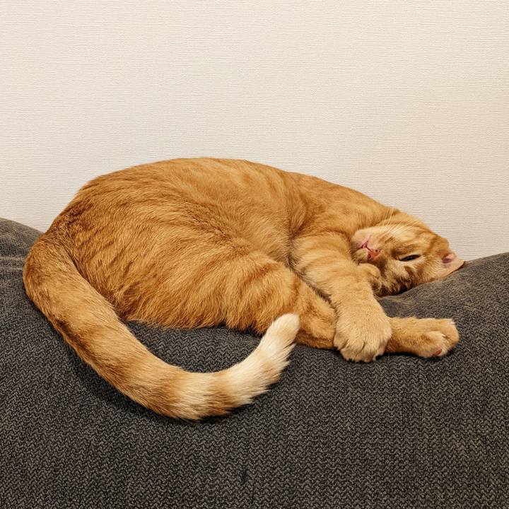 11b0e324 2613 42a2 bf91 029522f0cf9a 1664628425063