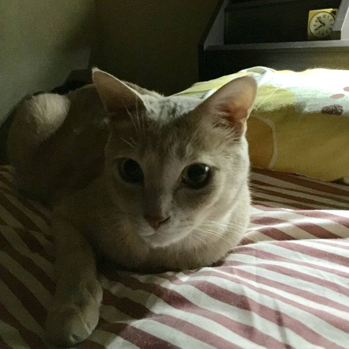 11b15d9a 4e31 4219 8e54 ae9a6f1640db 1530629675011