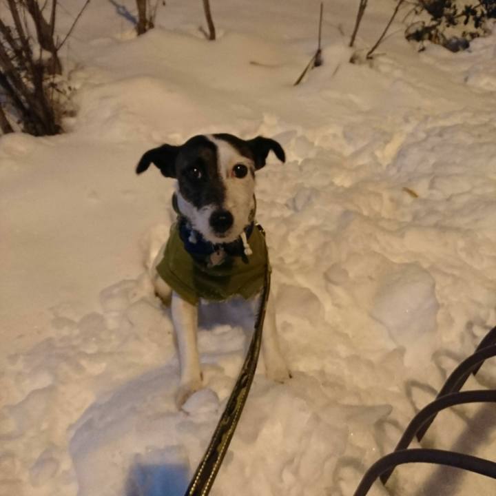 11b15f78 3f6b 4078 9655 e98a281ff7b3 1516708215674