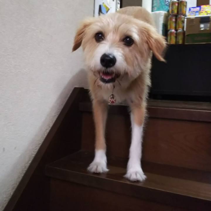 11b16763 d4d1 4e56 bdc1 fb8c3674ac16 1566103619788