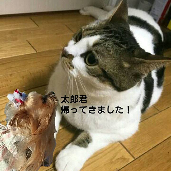 11b19038 66c0 4f1e b654 637ca7659eca 1544141433123