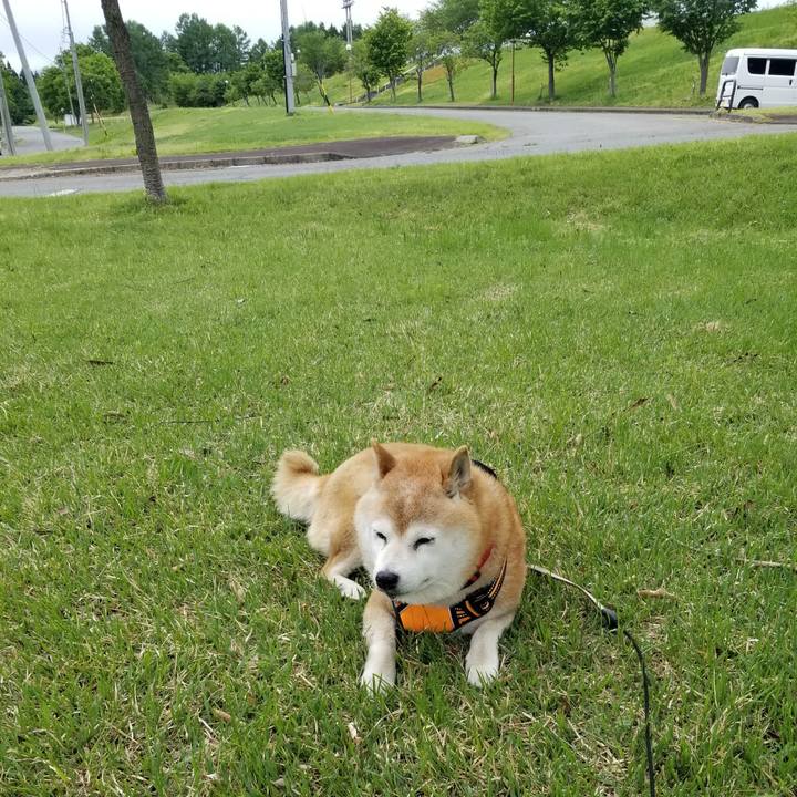 11b1a98a a09d 4f08 a17e 5555c53180ca 1715141096136