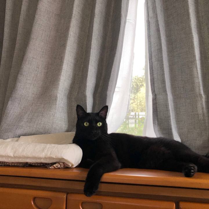 11b1b2e6 bba4 4a94 b0e7 b46fe9271eac 1600655183743