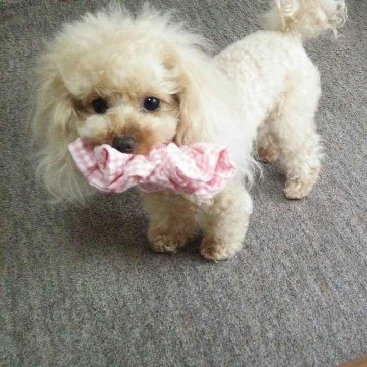 11b1bee5 b342 47c3 bb63 b13f03c3fa4d 1535022416659