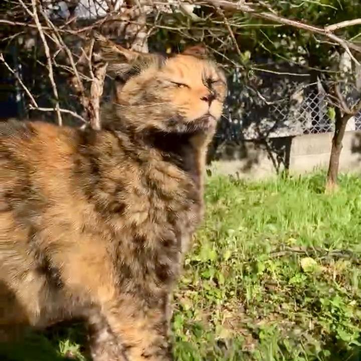 11b21477 a3f4 45dc 850f ee82a4538e0f 1730866767090