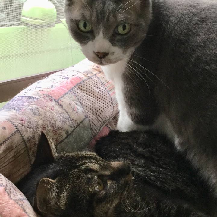 11b240c9 fb5e 480f b5b6 7763b909d912 1624926054950