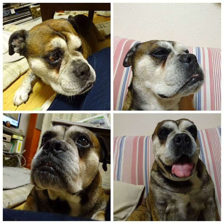 11b24f2e 1b6a 4a76 98be 3e4b4719bd1a 1570975835223