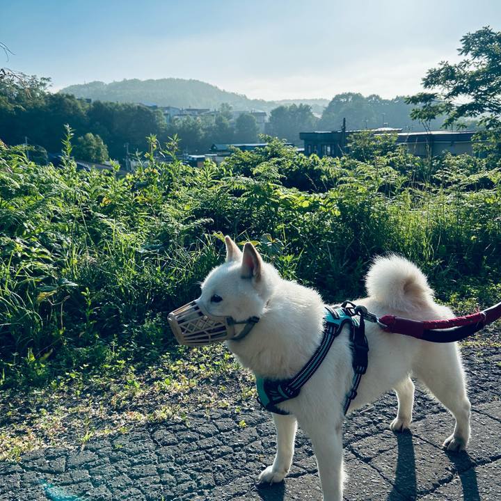 11b25aaf 9001 4da2 9116 6f7597ad8f4d 1687813809567