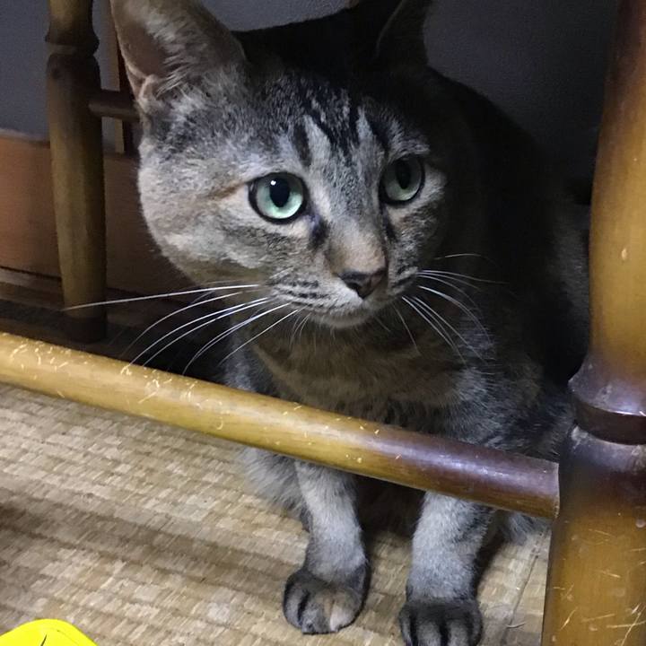 11b298b7 0125 4496 ac30 accbaf227f1d 1746788943675