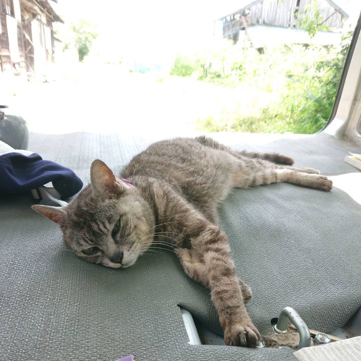 11b2a918 0cfc 4565 b90d 4fda3a002dca 1596333514927