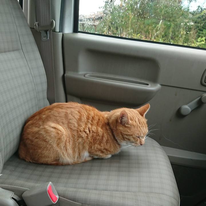 11b2b2c8 cc4c 4bd0 970d 0eb58d06e2d9 1571447966343