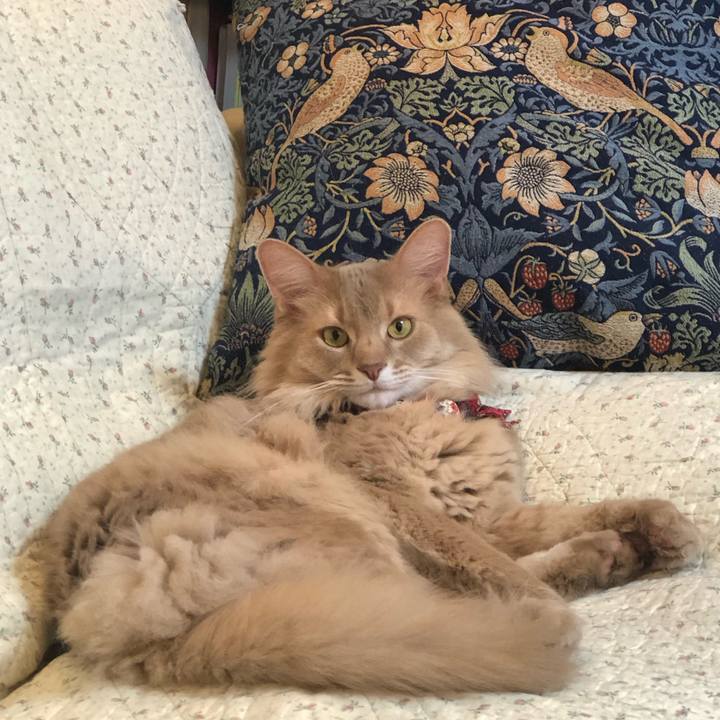 11b2b337 6402 497b 8e14 a87e3d486b9b 1677631524838