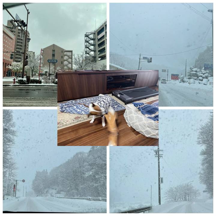 11b2b60f 86b3 4423 b130 f94f4aac4507 1738943017823