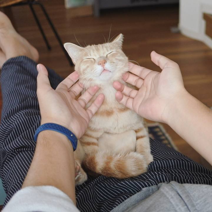 11b2e99a d011 438c 89ce 53234422de77 1583571820084