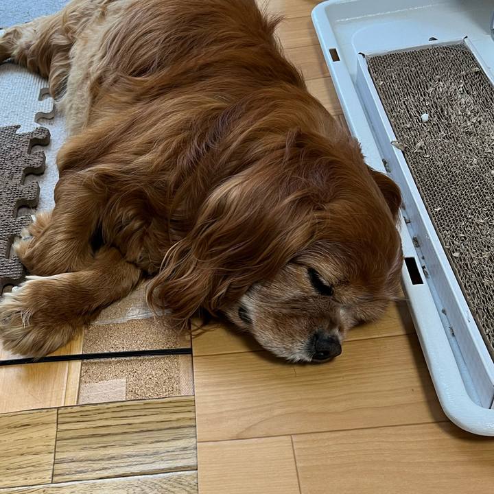 11b2fcab 0559 4ab0 a2c9 0e6bea693782 1775002071107