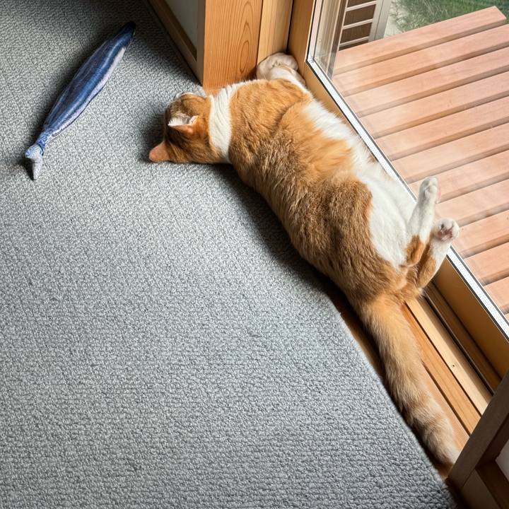 11b3071f bf2b 4b9d 977d 7cad8195cfa5 1758960191687