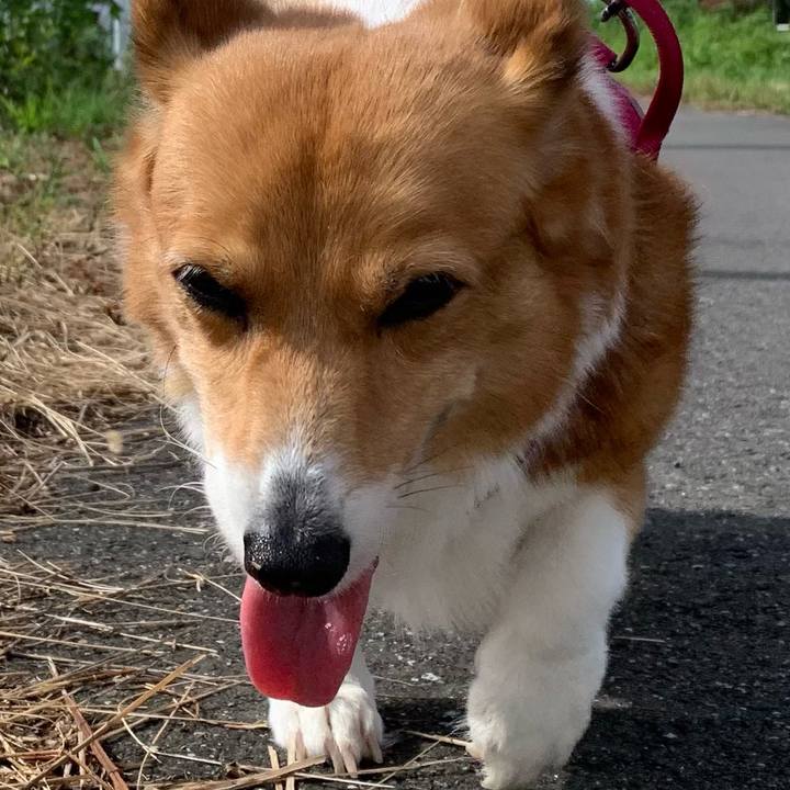 11b3272c 49e5 44d9 b981 714d0c9aff1c 1724719175953