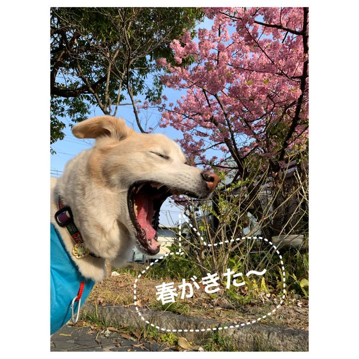 11b33573 8cc3 4870 8a5d 4833dfd49b94 1647130565297