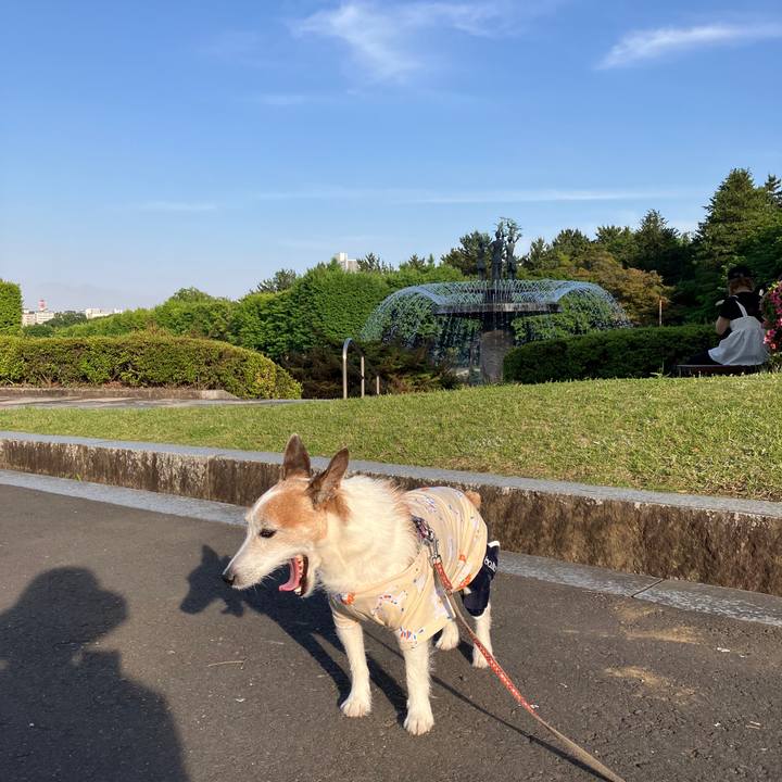 11b354ea b75f 43de 839e f0b7d3427114 1716161022983