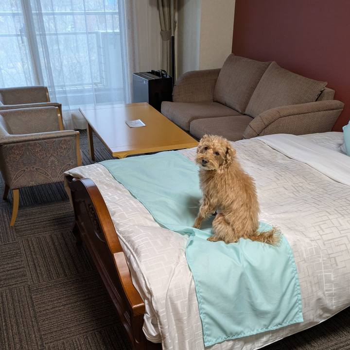 11b360cf c5f8 4436 a04a 7e5c81b95d73 1742204087790