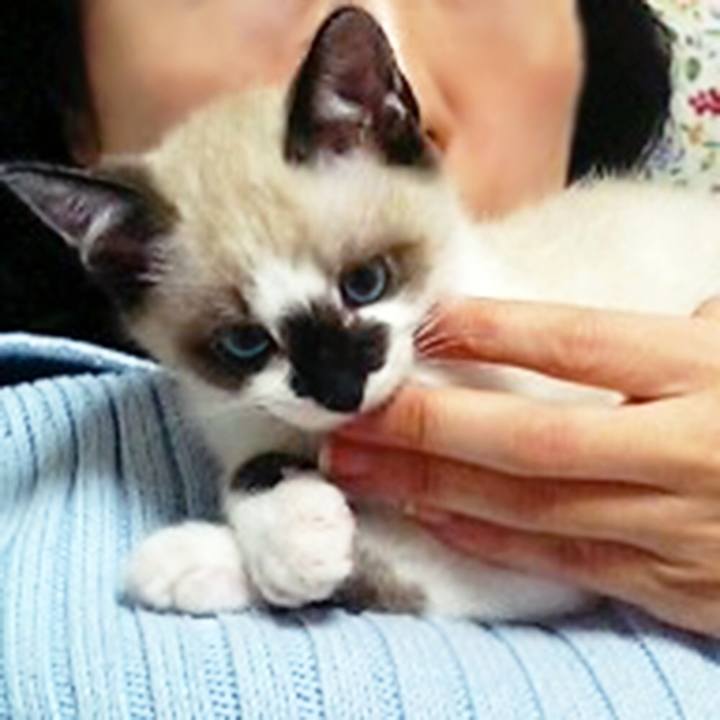 11b37f94 173c 40cd 8ec2 50237aeebc8f 1532297529357